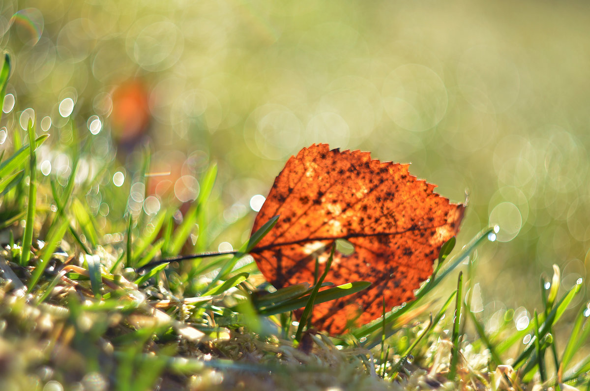 о прошлом в настоящем.. - наталья о прошлом в настоящем.. - наталья