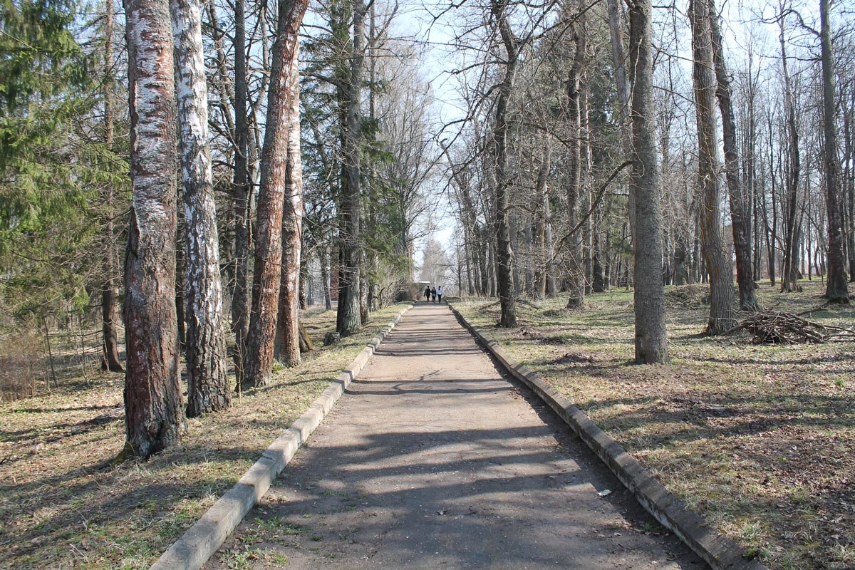 Аллея... - Анатолий Антонов