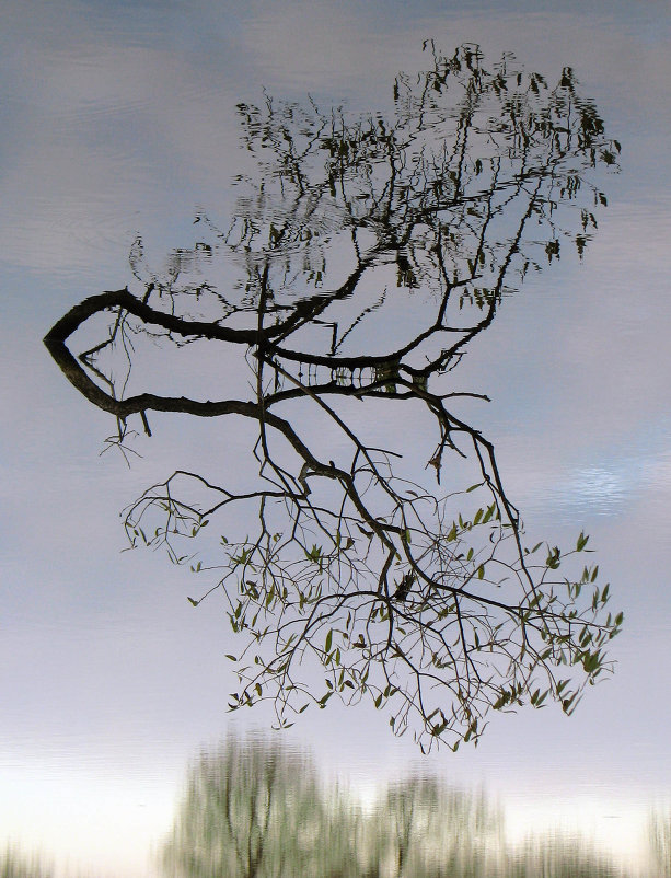 Осенний мотылёк - Алексей Окунеев Осенний мотылёк - Алексей Окунеев