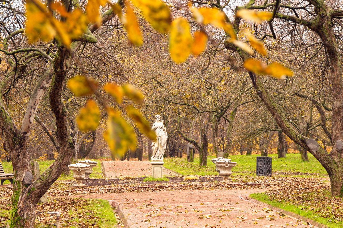 Осень в парке - Алексей Дмитриев Осень в парке - Алексей Дмитриев