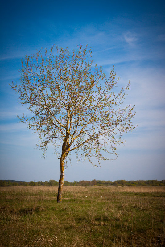Одиночество - Slava Melnikov