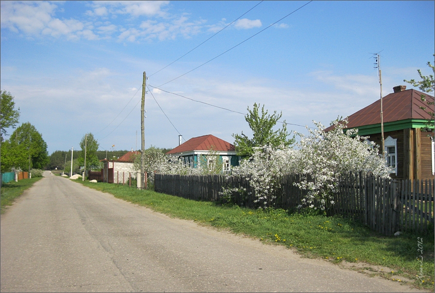 В деревне... - Лена L.