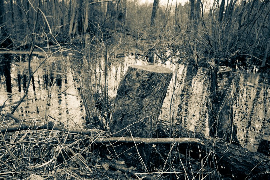 59 - Роман Колосов