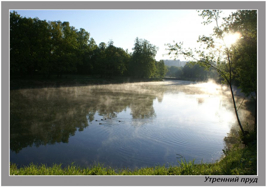 Утро На Пруду В Октябре Фото