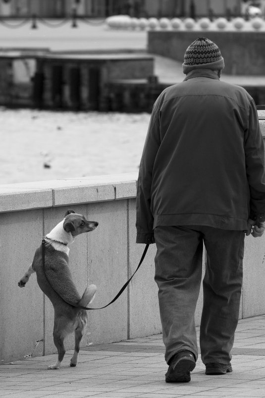 Не Герасим... - Анатолий Дорофеев