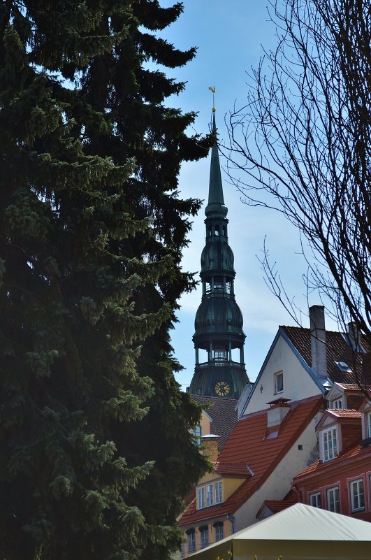 .. - Marina S. .. - Marina S.