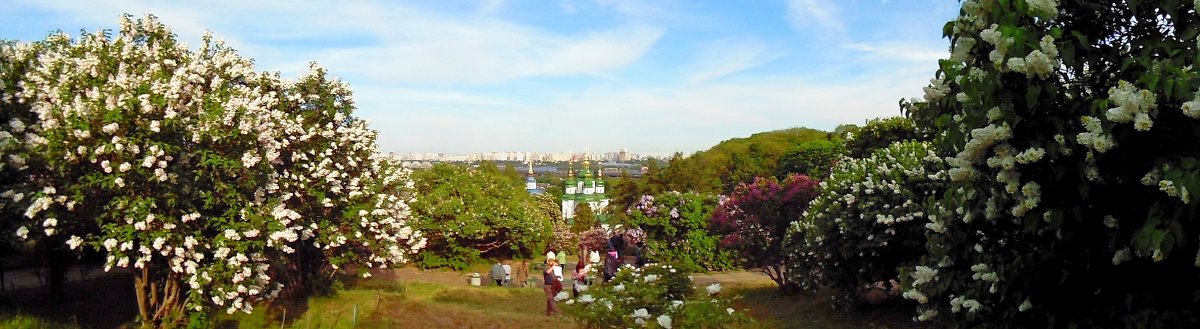 В сиреневом саду - Ростислав 