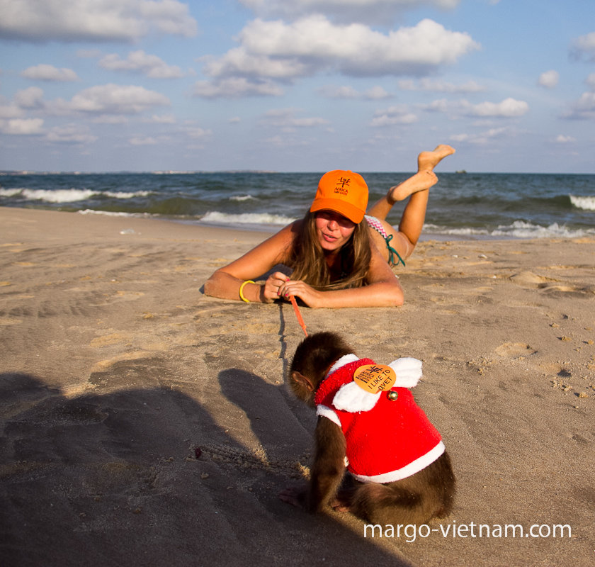 Маленькая обезьянка Коко и Яна - Наталья Краснюк