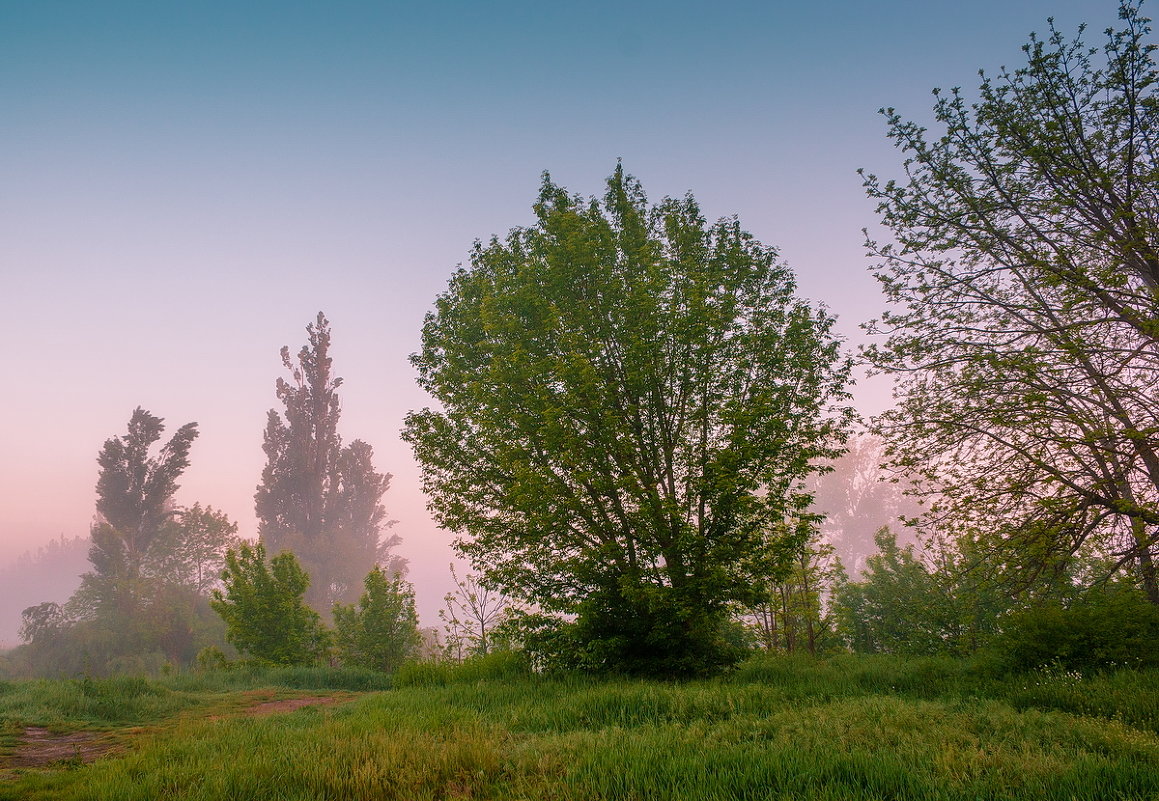 *** - Александр 