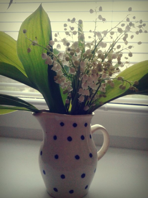 ландыши - Юлия Закопайло