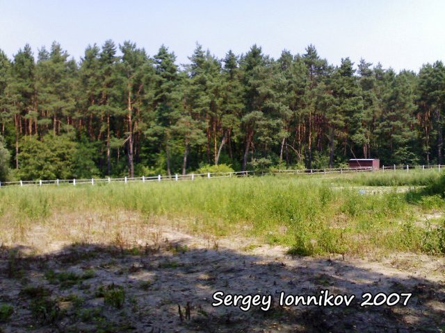 Андрушівка. Червона гірка. Колишній фазанарій в лісі. Липень 2007 - Сергей Ионников Андрушівка. Червона гірка. Колишній фазанарій в лісі. Липень 2007 - Сергей Ионников