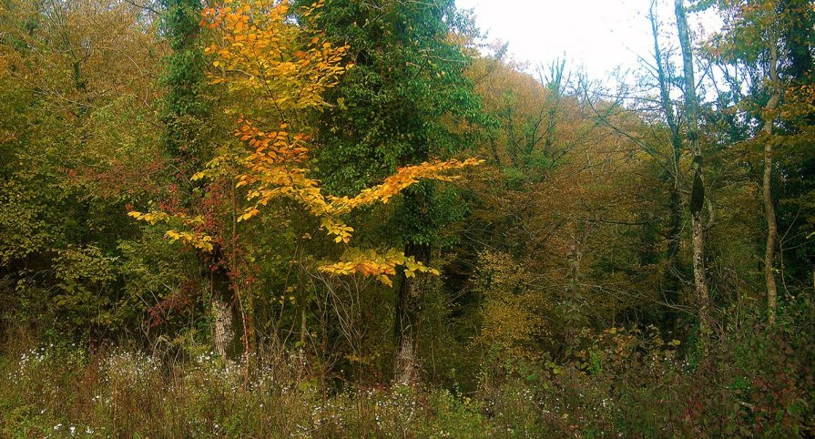 На том краю замедленного жеста... - Николай Глазьев На том краю замедленного жеста... - Николай Глазьев