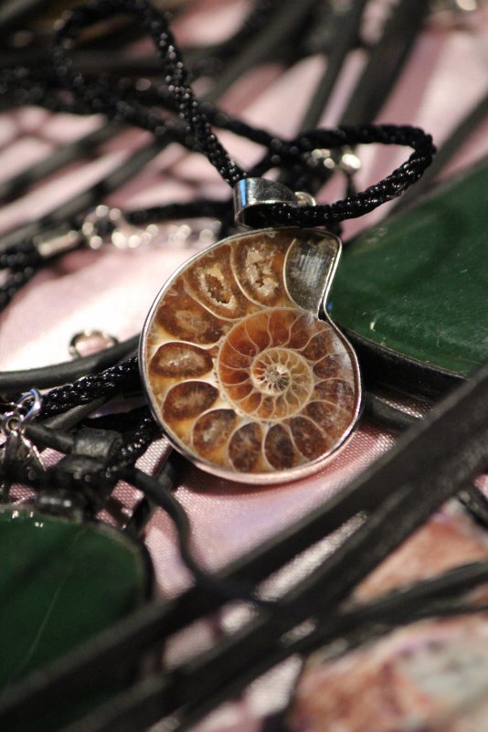 ракушка - Натали Тищенко