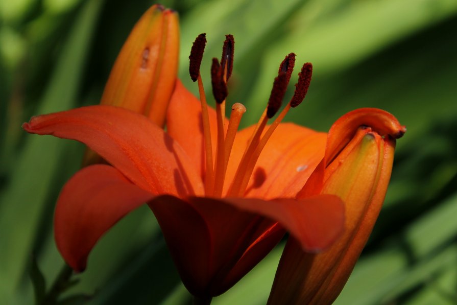 наполненный светом. - татьяна соловьёва