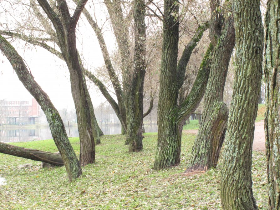 ансамбль - Ната Иванова