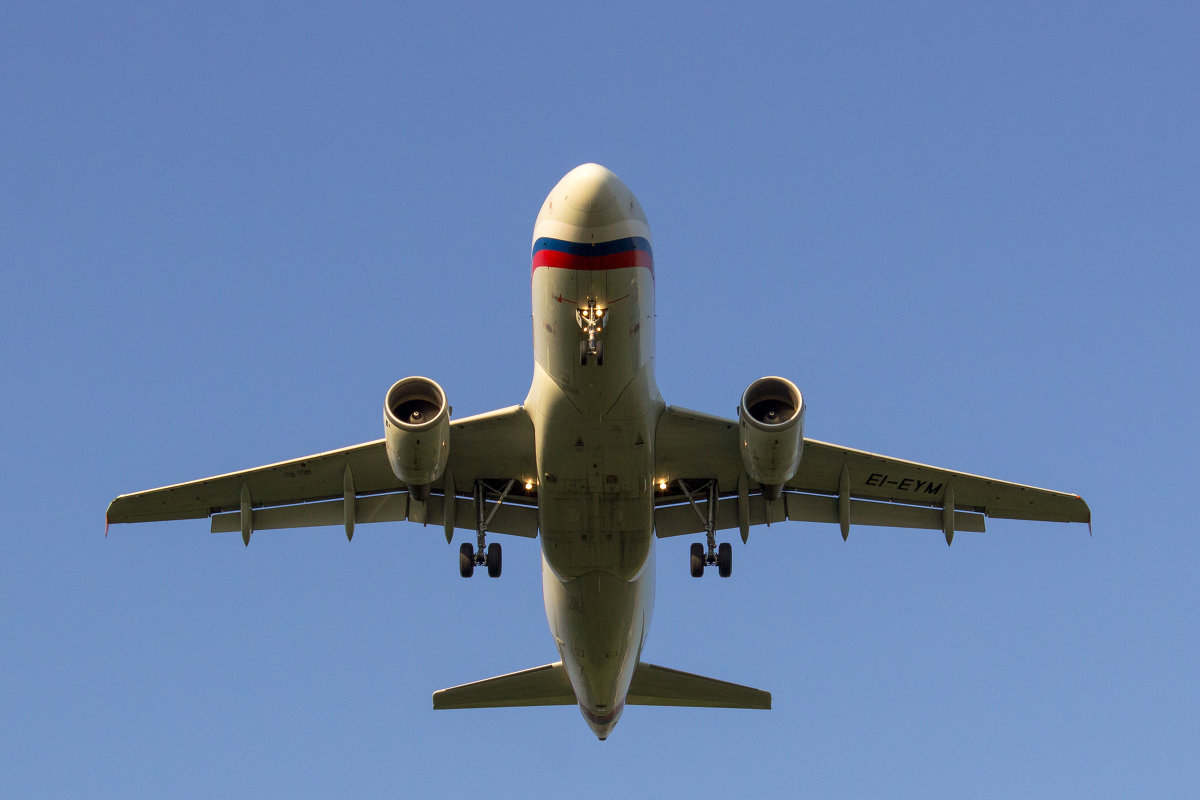 Airbus A319 - Rossiya - Денис Атрушкевич