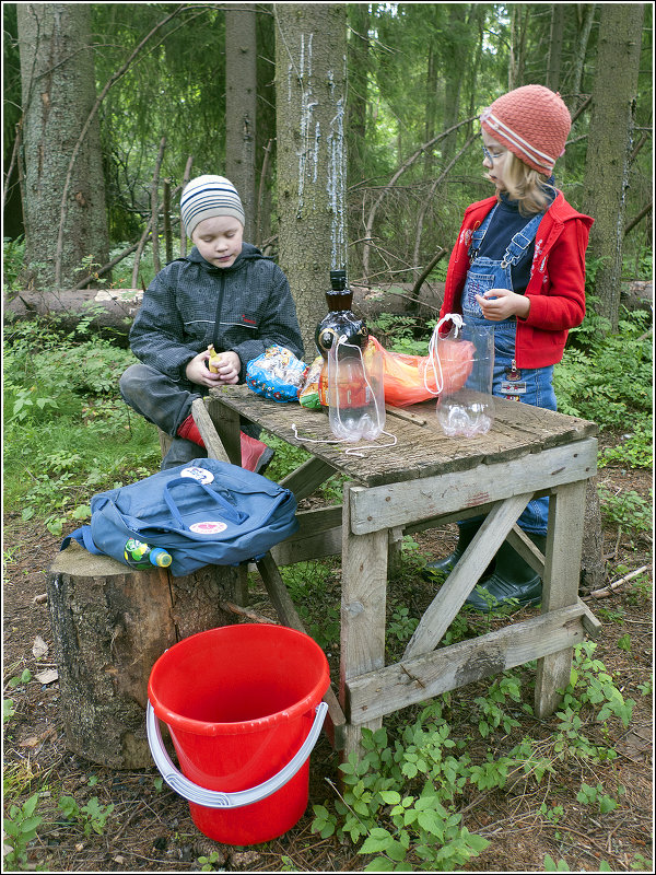 За черникой *** For blueberries - Александр Борисов