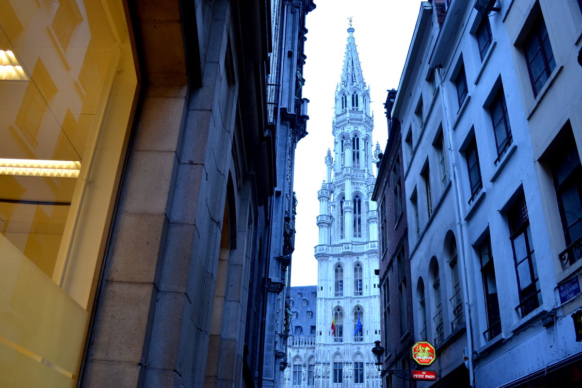 Бельгия 5. - Светлана Никольская