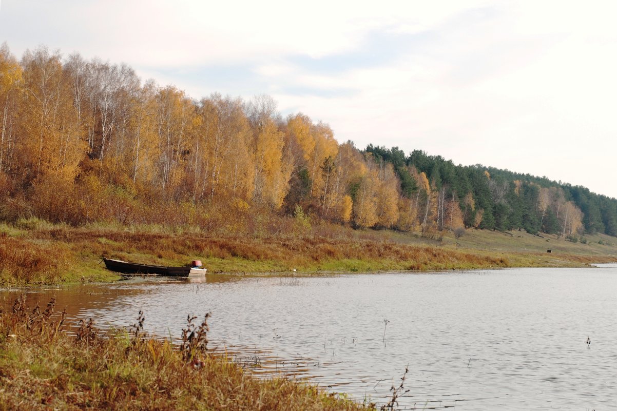Пасмурное утро на Оке - Николай Варламов Пасмурное утро на Оке - Николай Варламов