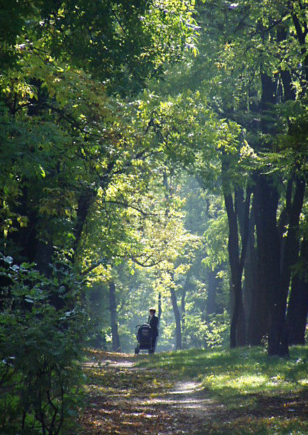 ... - Ларико Ильющенко