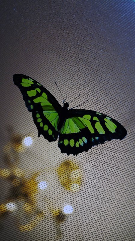 *** - Олег Попченко *** - Олег Попченко