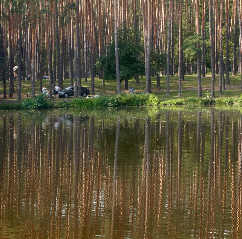 Пуща-Водица (Киев) - Tatiana Melnikova