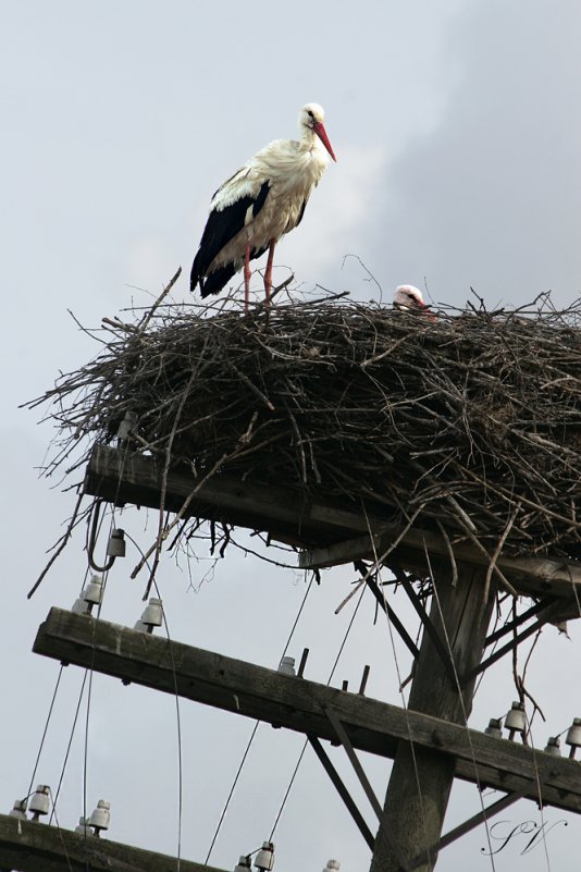 Жизнь продолжается - Владимир Савченко Жизнь продолжается - Владимир Савченко
