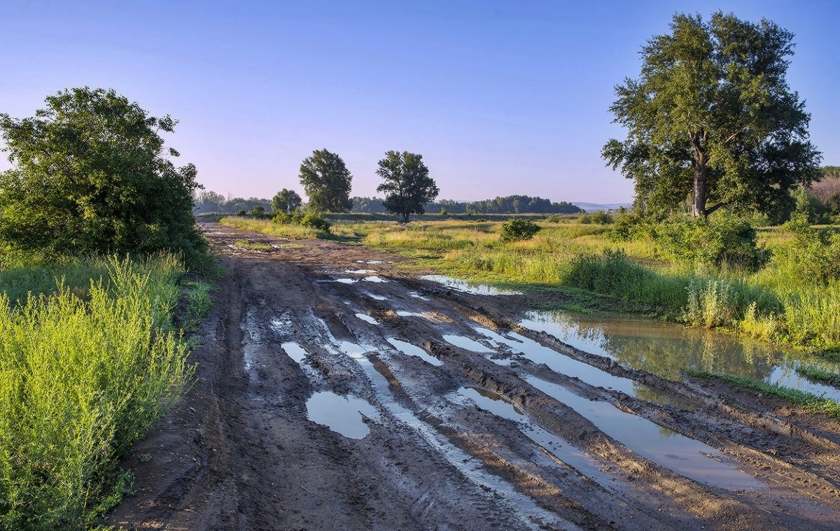 Прошли обильные дожди - Любовь Потеряхина Прошли обильные дожди - Любовь Потеряхина