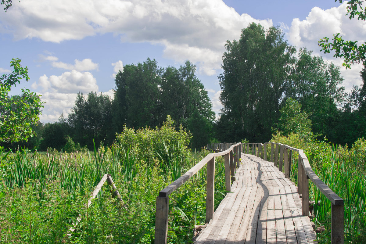 Мост - Руслан Веселов