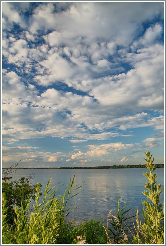 Тоже левый берег - Юрий Муханов