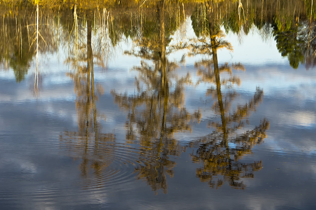 .... - Сергей Политыкин