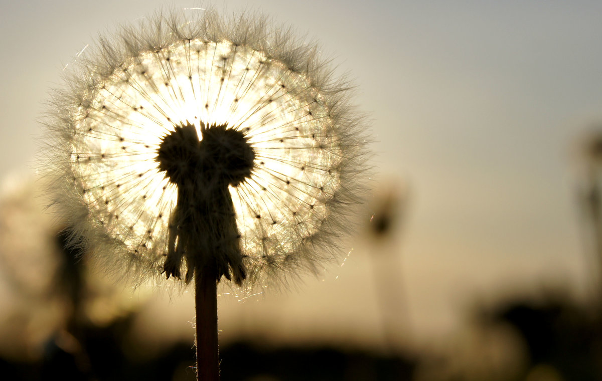 Фонарик - iaa33 