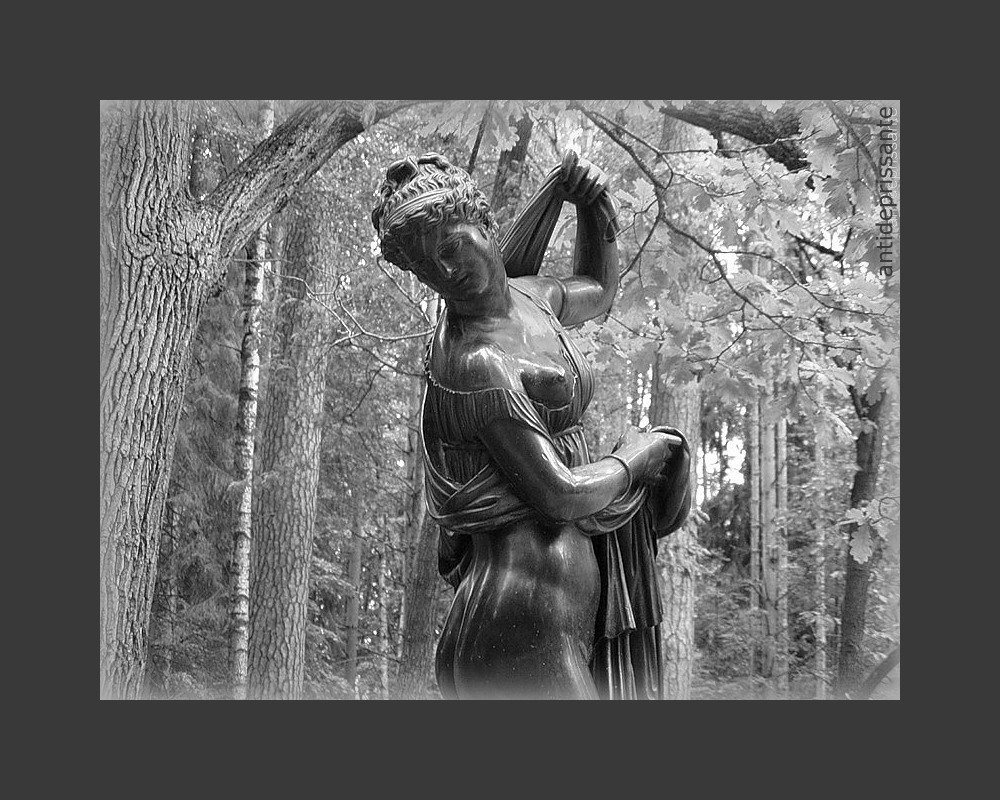 Павловск - vadim Павловск - vadim