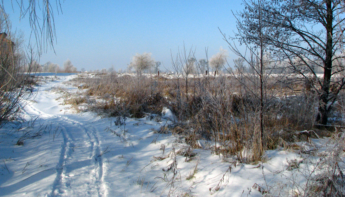 Морозный день - Тарас Грушивский