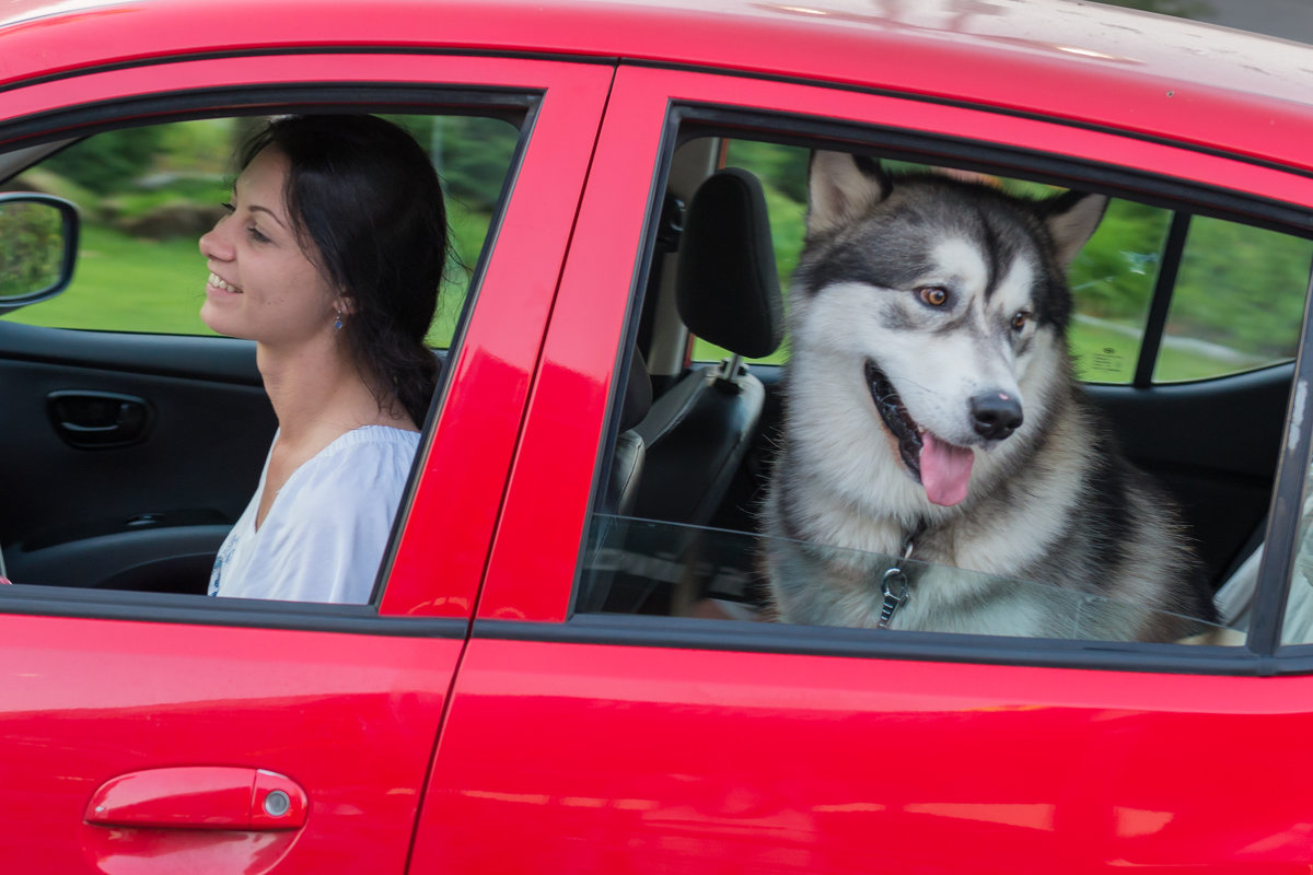 Путешественники. - Ирина Кеннинг