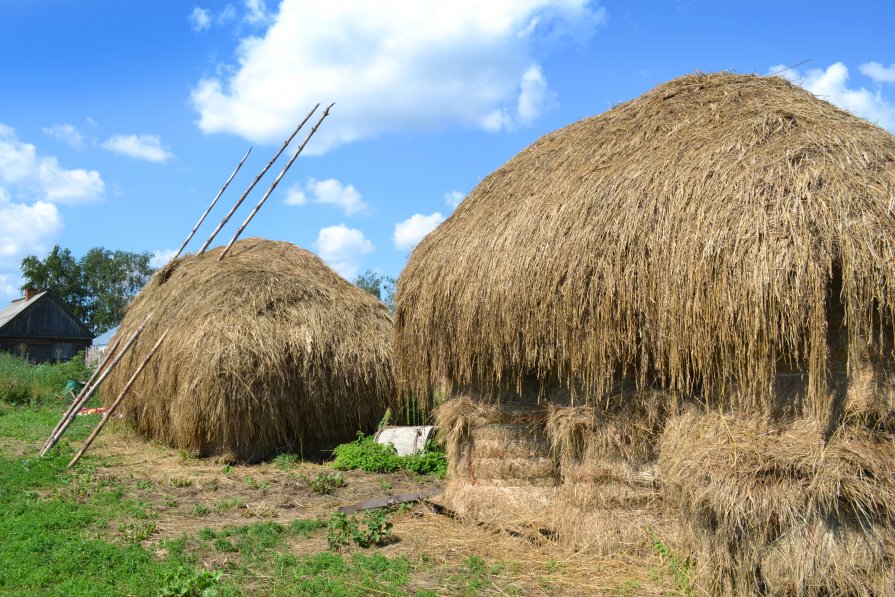 Летняя палитра and деревенские краски - Анастасия Калюжная