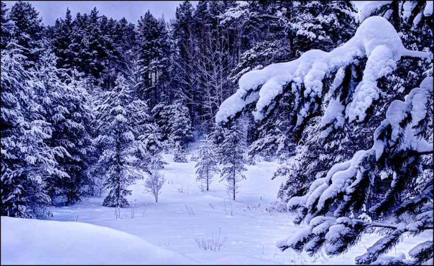 тишина - Фёдор Винокуров