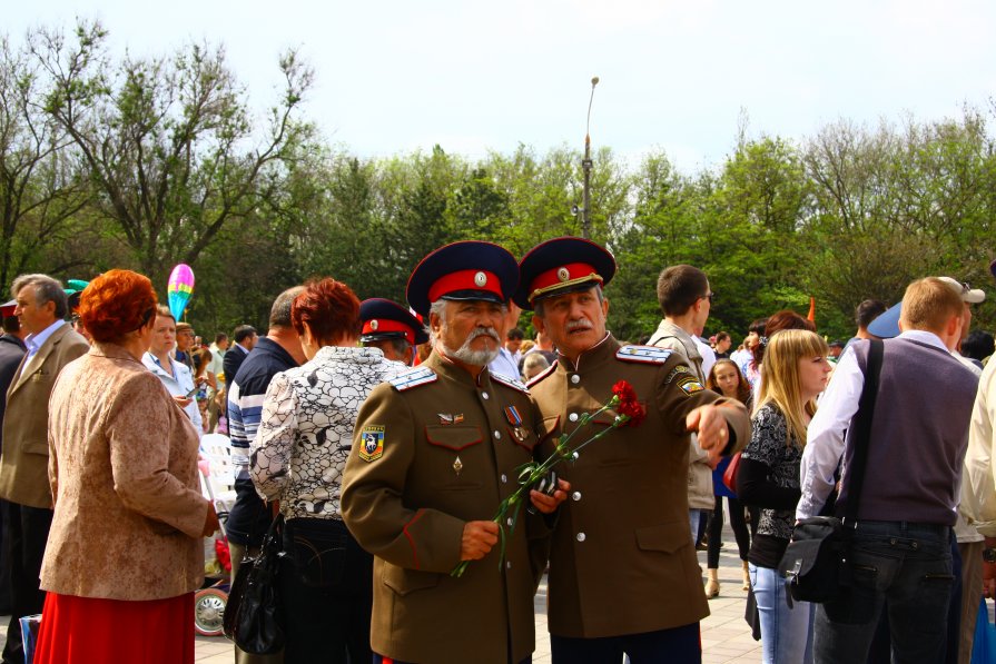 Казаки - Сергей Оплачко