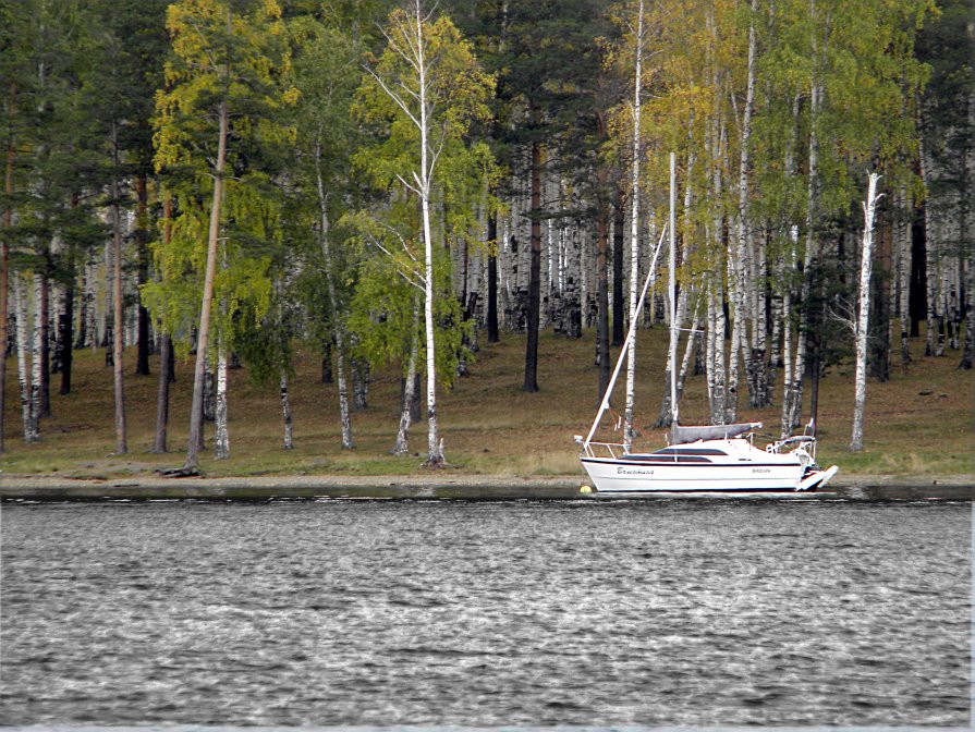 На приколе - @льга Б@р@дина