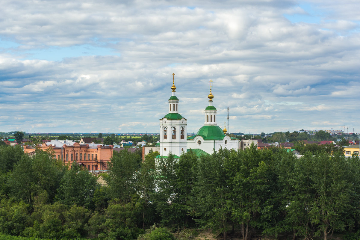 *** - Владимир Бобришев