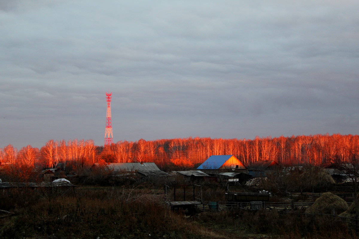 осенний закат - Алёна Родионова