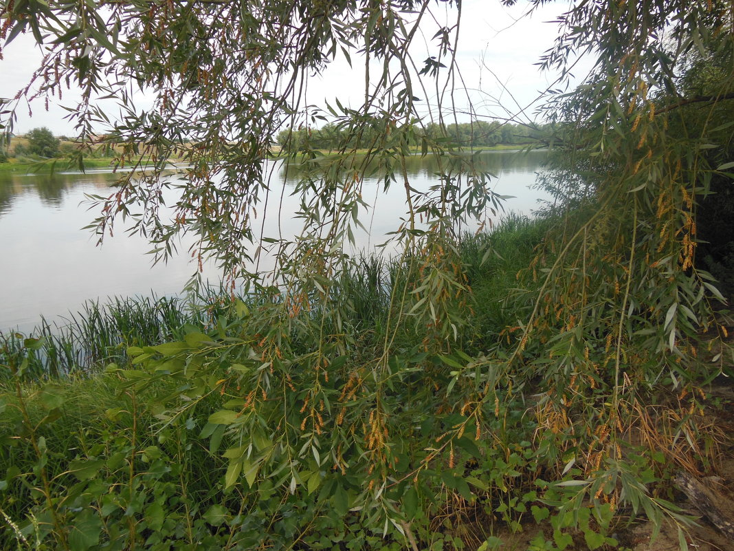 Река - Людмила рождественская