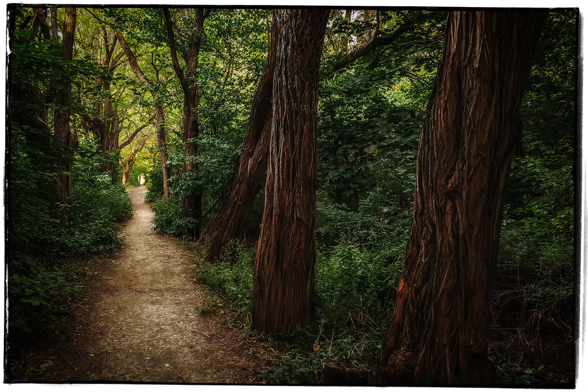 *** - Nerses Davtyan