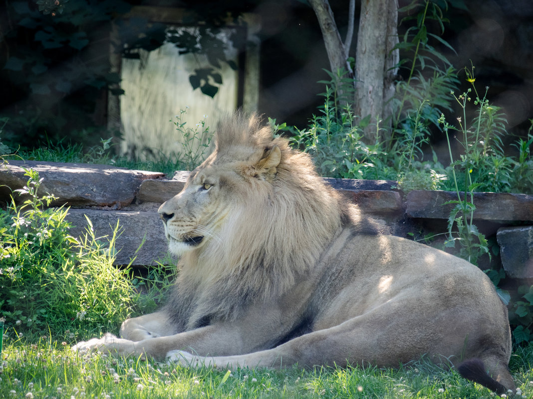 Philadeplphia Zoo - Vadim Raskin