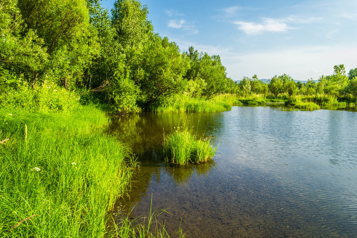 *** - Валентин Жеребятников