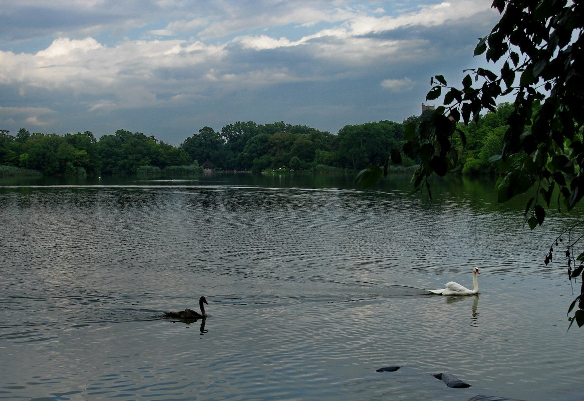 Prospect Park - Игорь Липинский