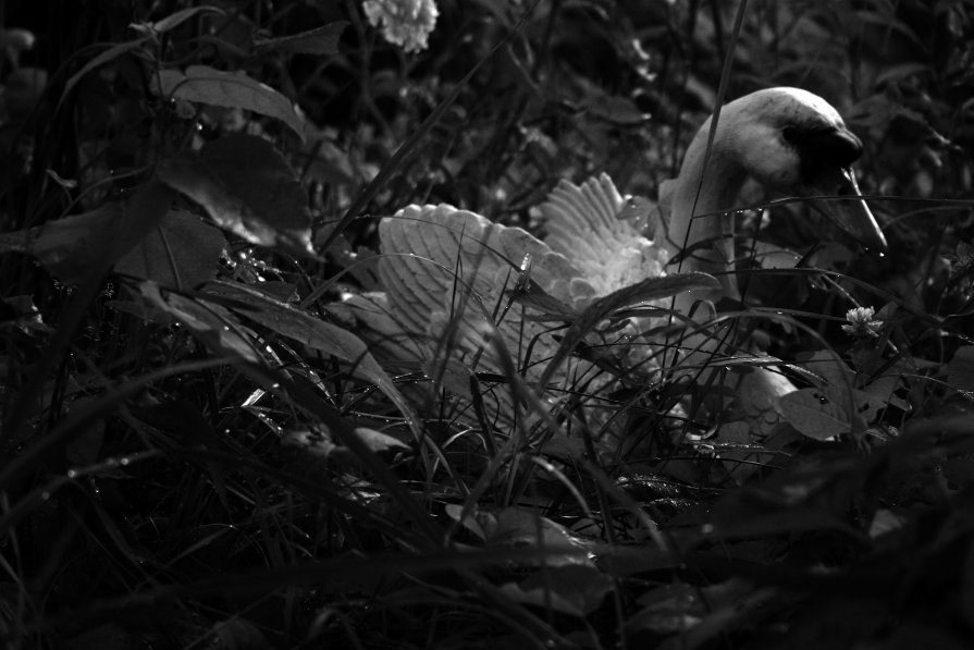 In the garden - Света Гончарова