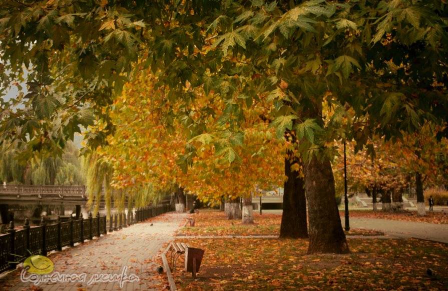 Симферополь - Фотограф Дарья Скугарева