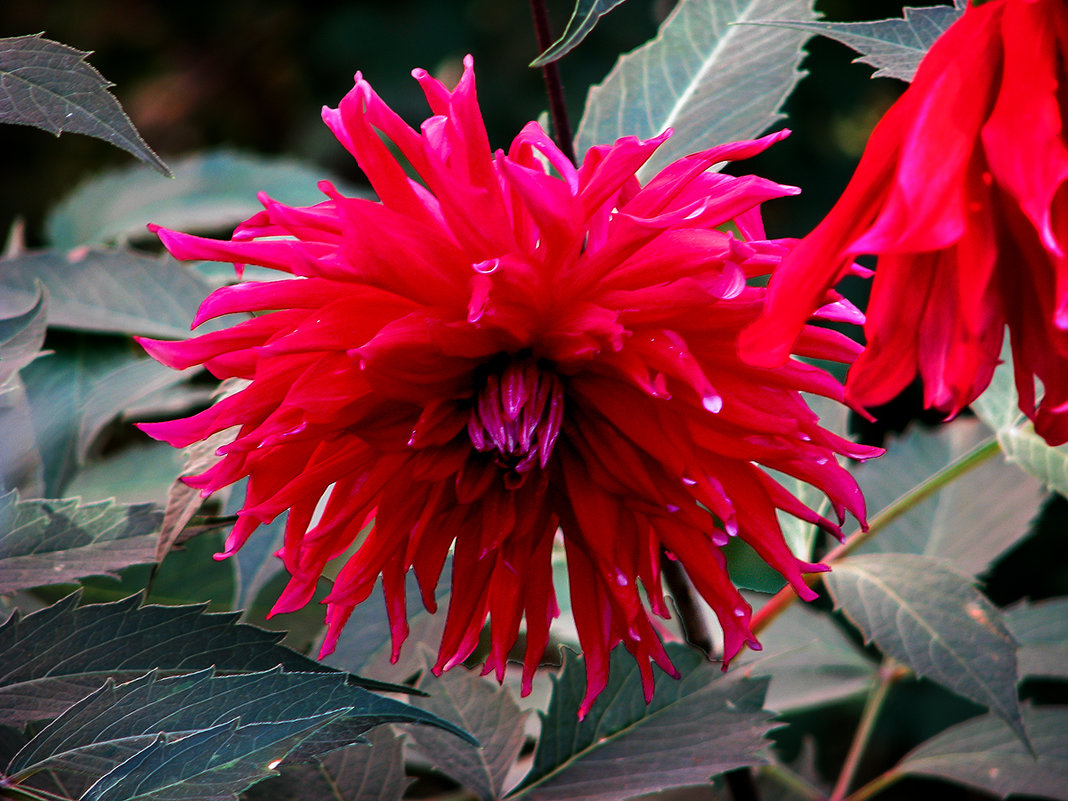 \\\\\\\\\\ - Владимир Кроливец \\\\\\\\\\ - Владимир Кроливец