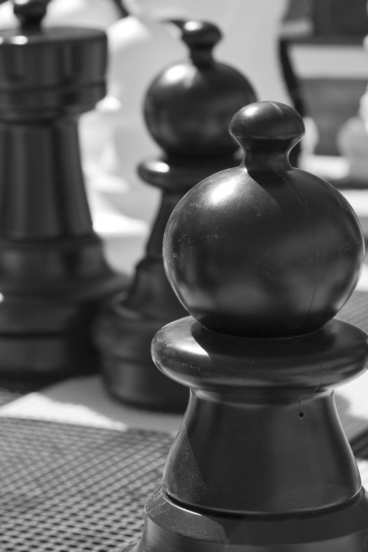 шахматы - Василий Смысленов